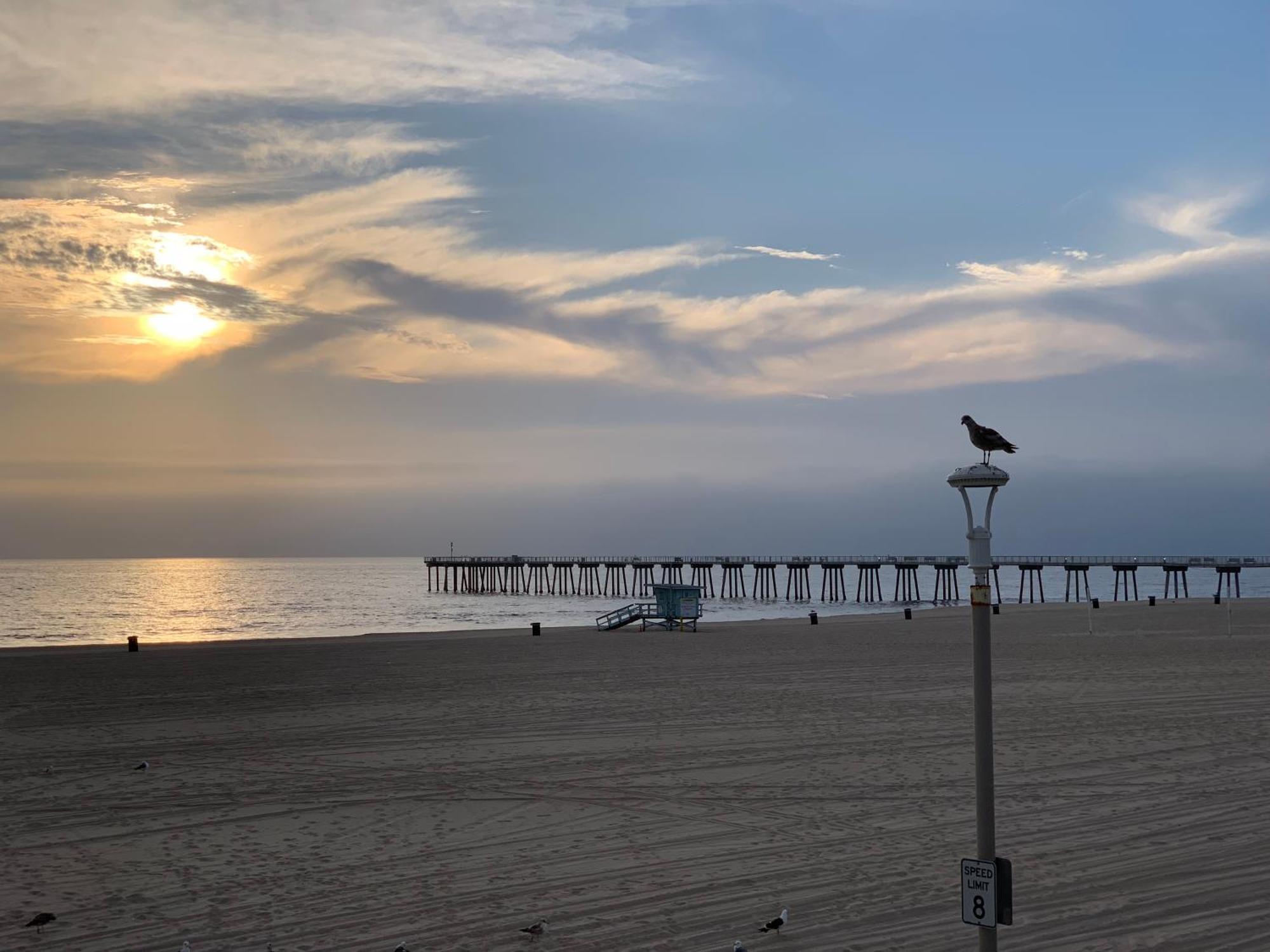 The Vurpillat Otel Hermosa Beach Dış mekan fotoğraf